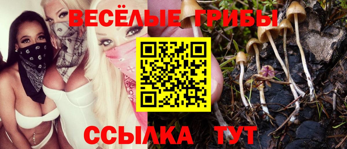 Апшеронск  Псилоцибиновые грибы ЛСД  Вход с VPN 